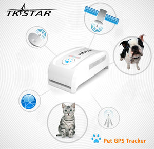 Mini Waterproof GPS Tracker Collar for Pets - meowoholics