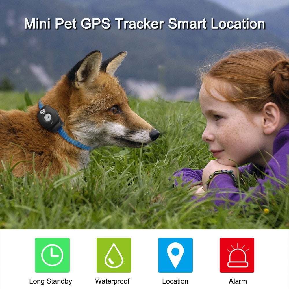 Waterproof Mini GPS Collar Tracker Locator Pets iOS/Android Web Tracking - meowoholics