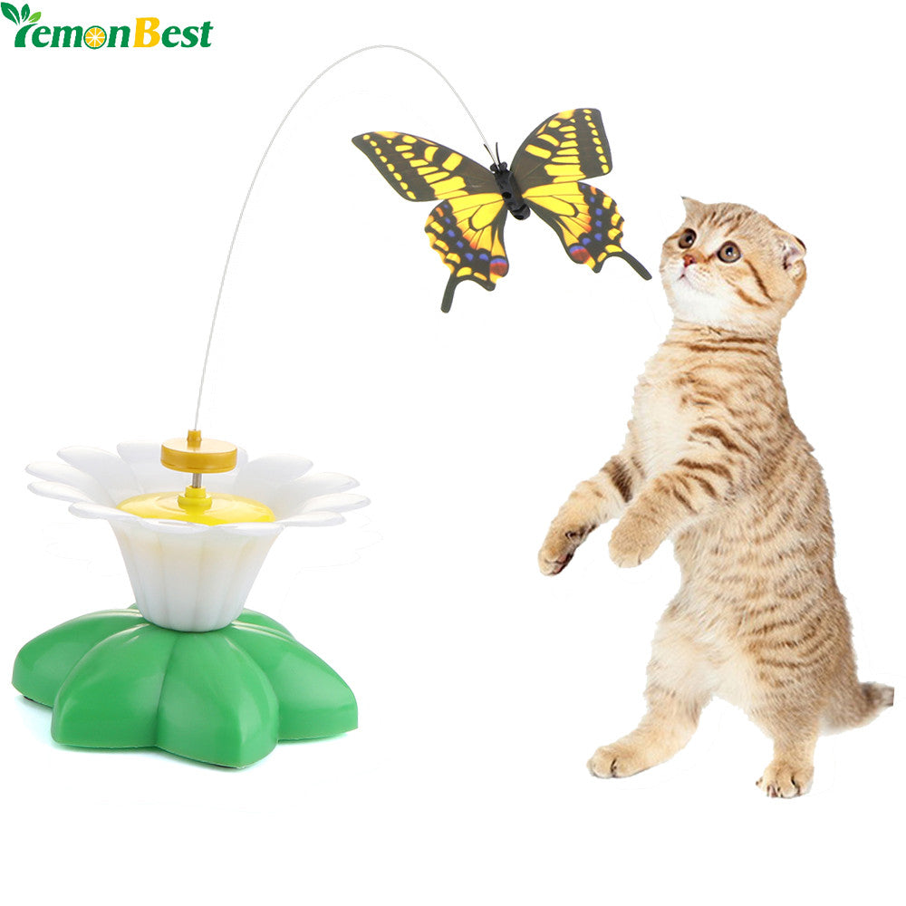 Cute Pet Cat Electric Interactive Rotating Butterfly Toy - meowoholics