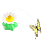 Cute Pet Cat Electric Interactive Rotating Butterfly Toy - meowoholics