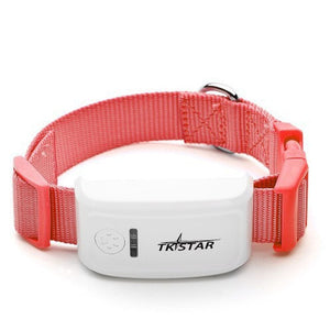 Mini Waterproof GPS Tracker Collar for Pets - meowoholics