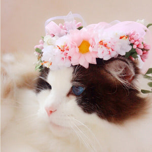 Flowery Head Band for Cats - meowoholics