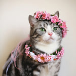 Flowery Head Band for Cats - meowoholics